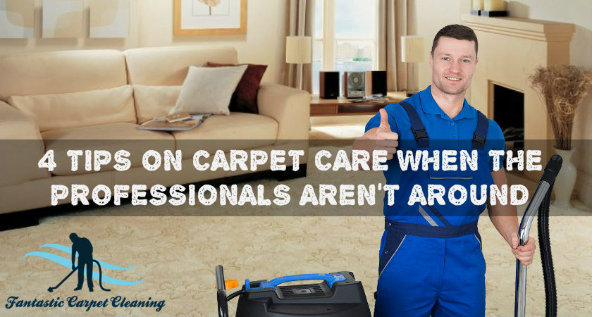 4 Tips on Carpet Care When the Professionals Aren't Around