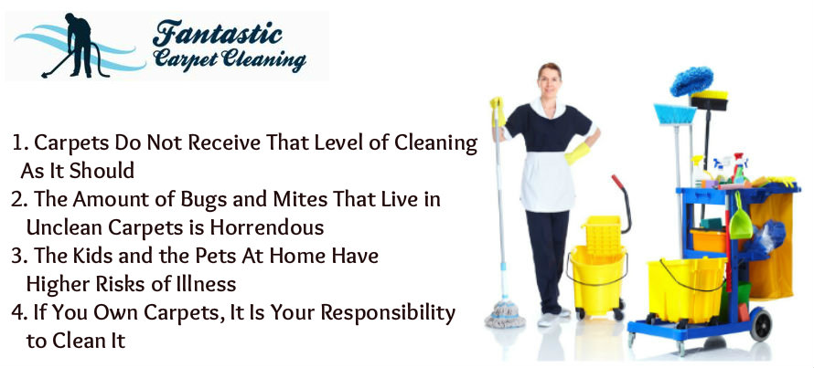 Carpet Cleaning Facts