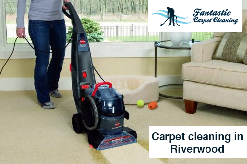 Carpet Cleaning Riverwood