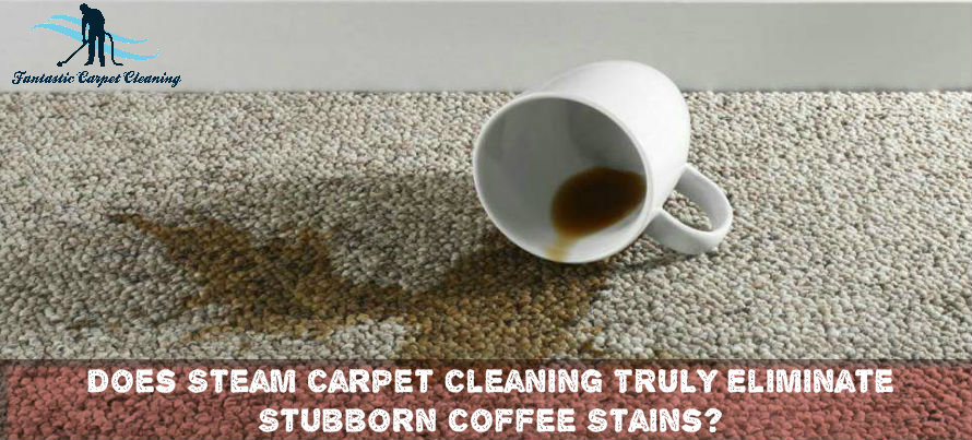 Carpet Steam Cleaning for Coffee Stains