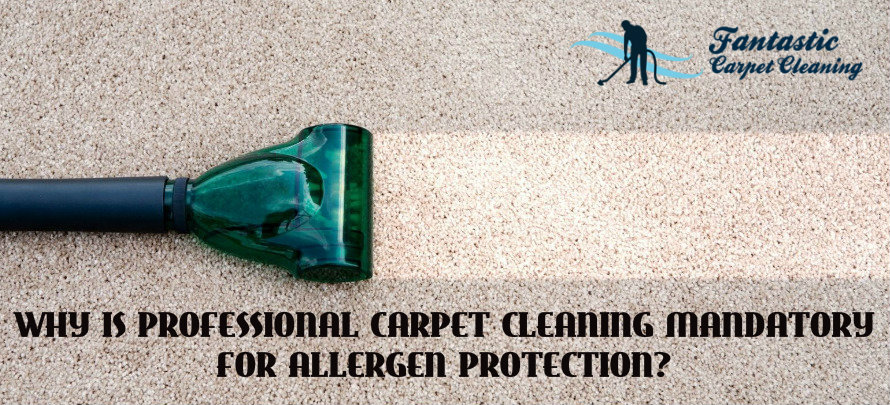 professional carpet cleaning mandatory for allergen protection