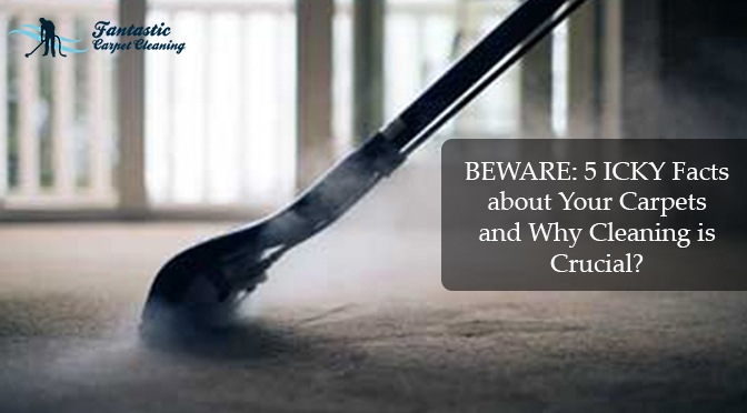 carpet cleaning-is crucial