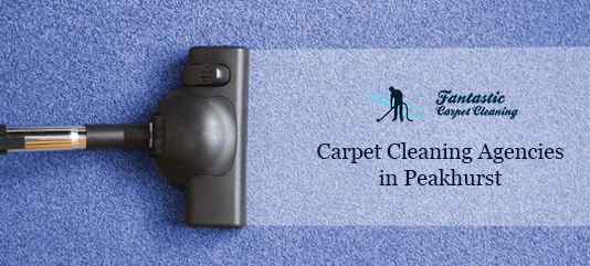 carpet cleaning experts