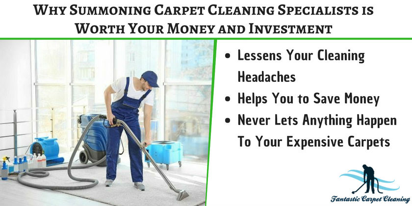 Carpet Cleaning Specialist