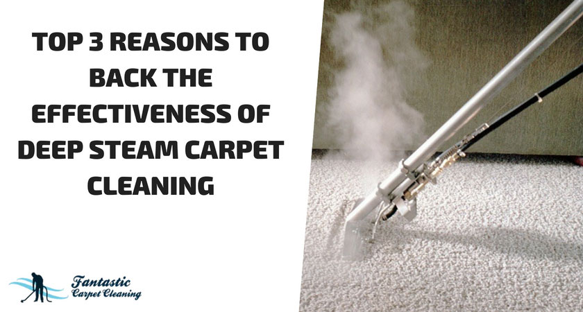 Deep Steam Carpet Cleaning