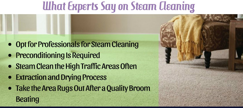 Experts on Steam Cleaning